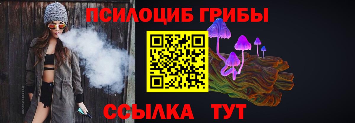Галлюциногенные грибы Psilocybine cubensis Дзержинск